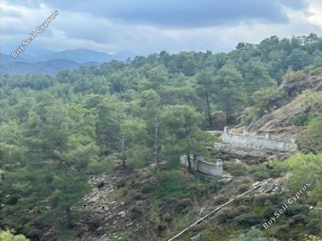 land for sale agios epifanios oreinis nicosia 1336264 image 17396912