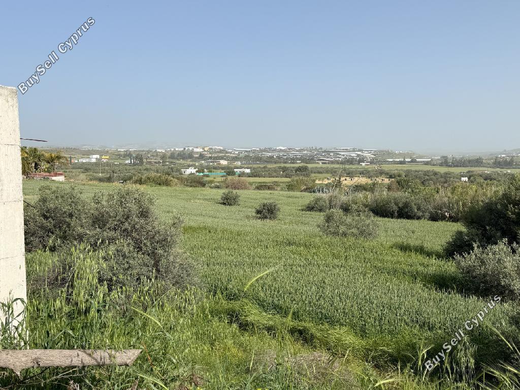 land for sale aradippou larnaca 8463264 image 16512153