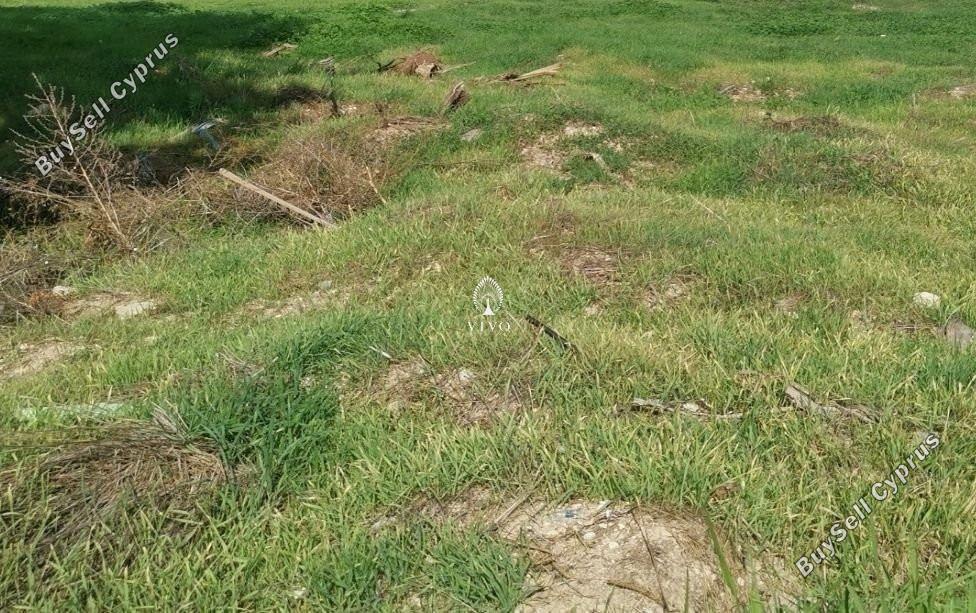 land for sale paramytha limassol 1831264 image 6468144