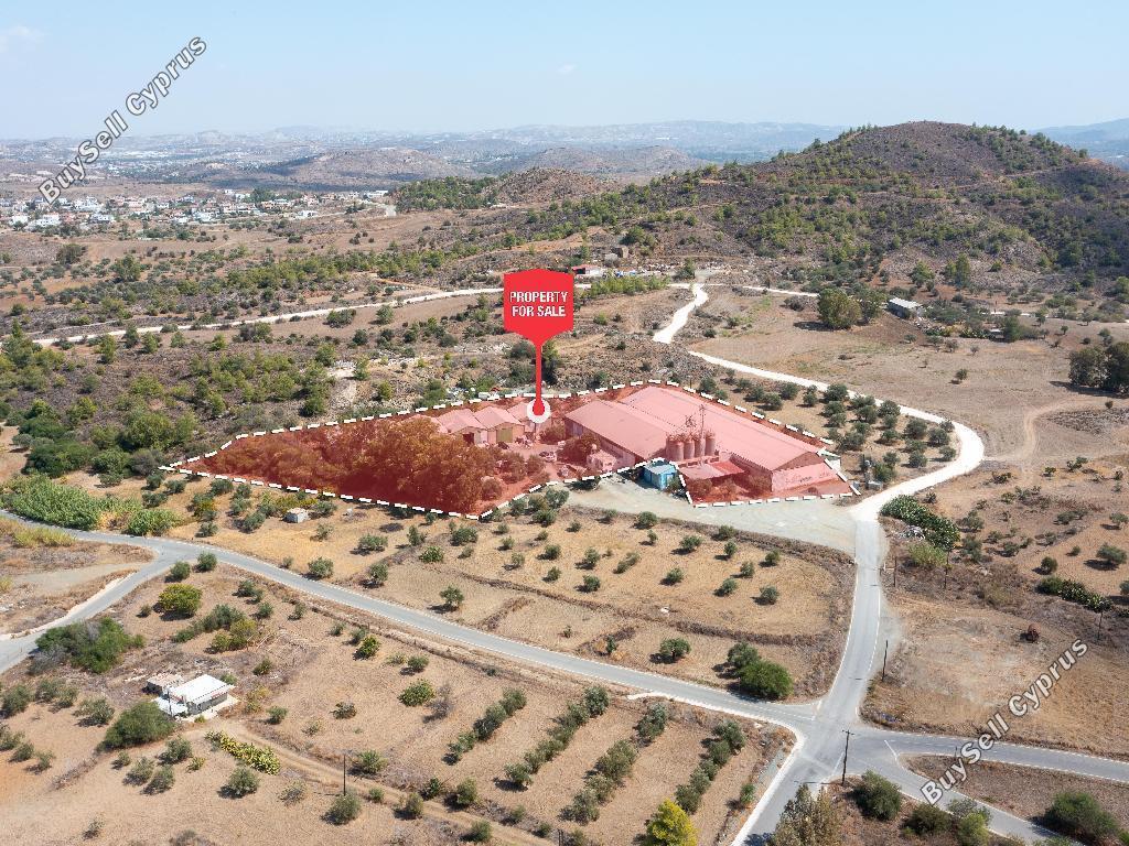studio warehouse for sale agia varvara nicosias nicosia 1188264 image 4683619