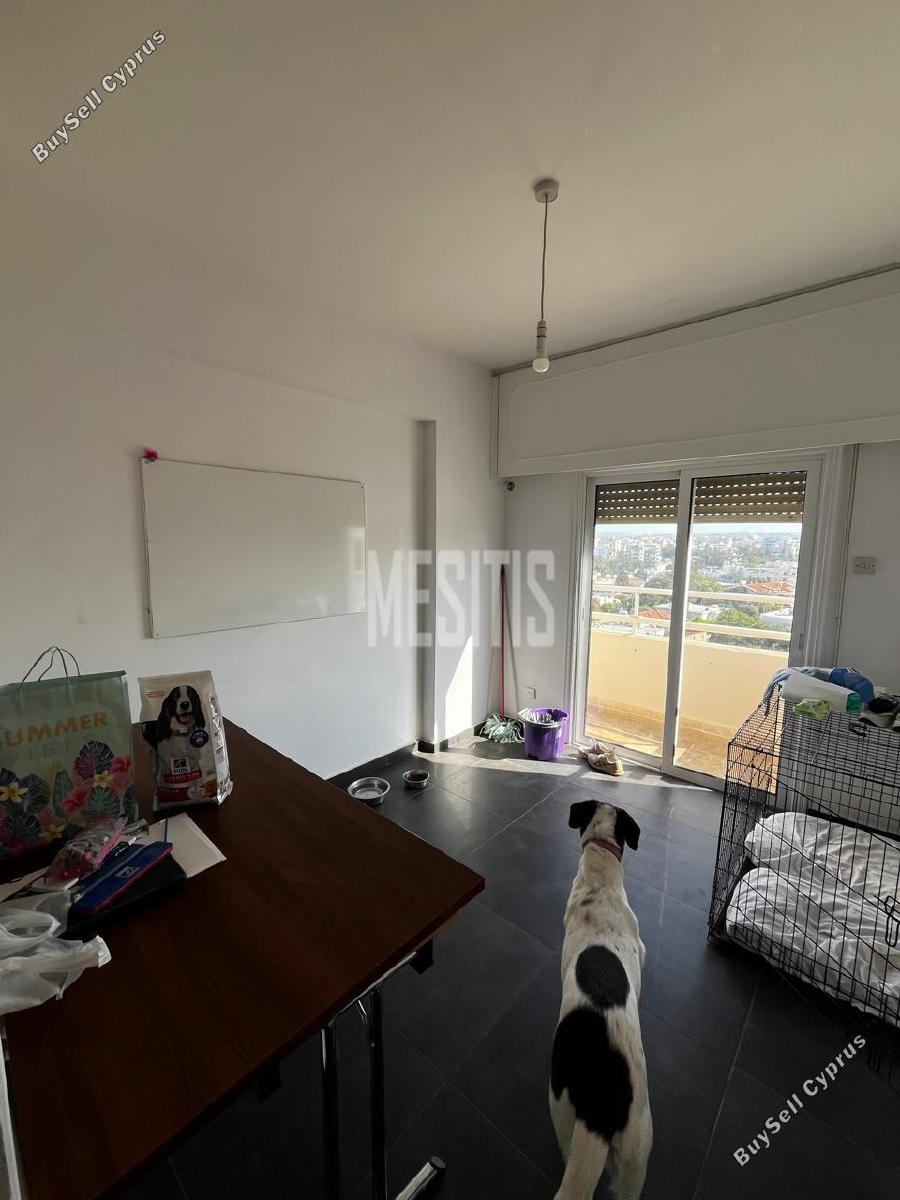3 bedroom apartment for rent acropolis nicosia 8659364 image 15980548