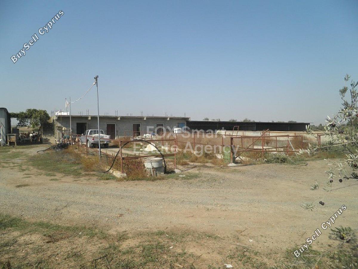 land for sale palaiometocho nicosia 1282364 image 5184285