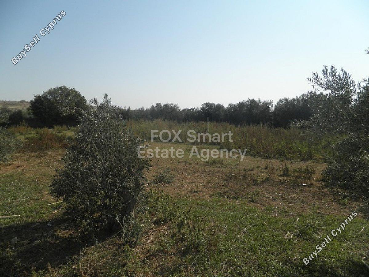 land for sale palaiometocho nicosia 1282364 image 5184286