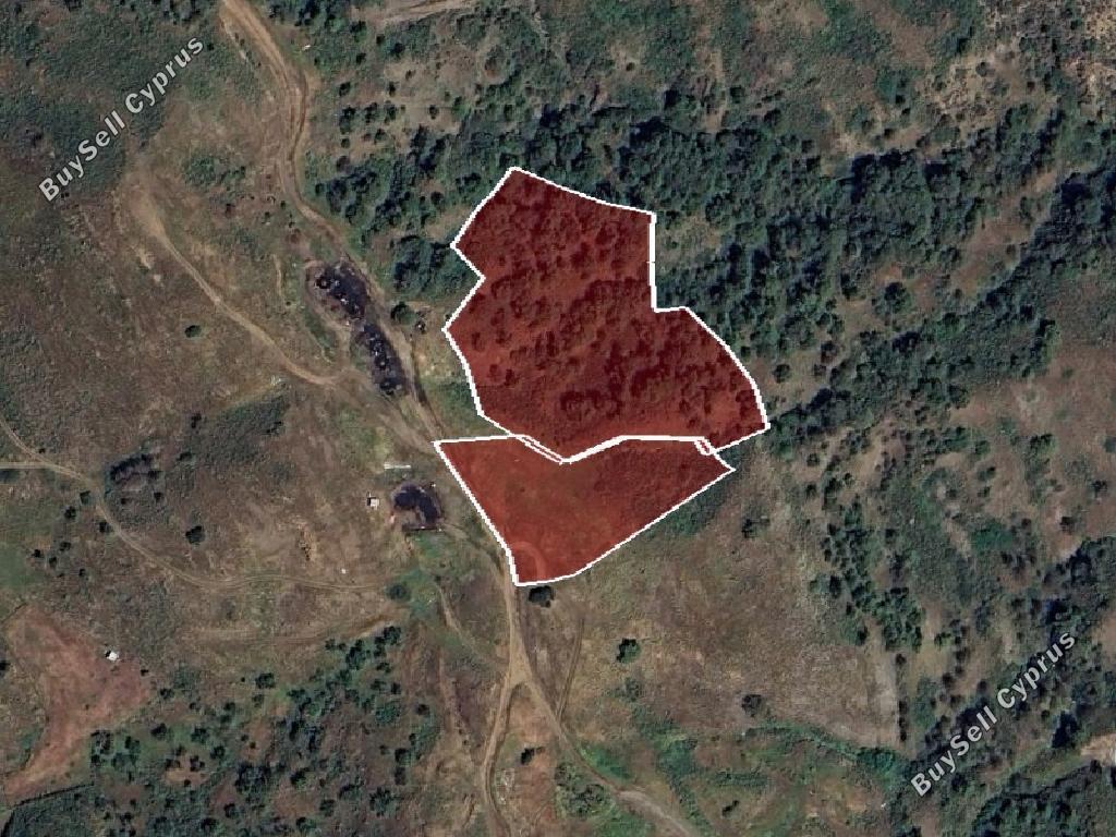 land for sale pigenia nicosia 1887364 image 7085434