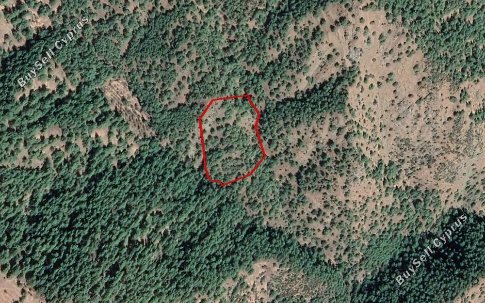 land for sale pigenia nicosia 966364 image 12843171