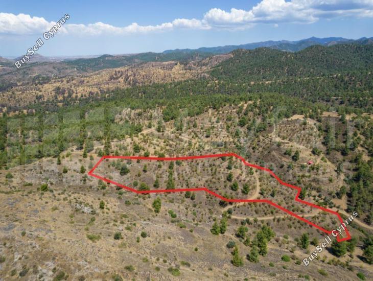 plot for sale xyliatos nicosia 7871364 image 15884482