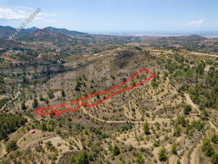 plot for sale xyliatos nicosia 7871364 image 15884487
