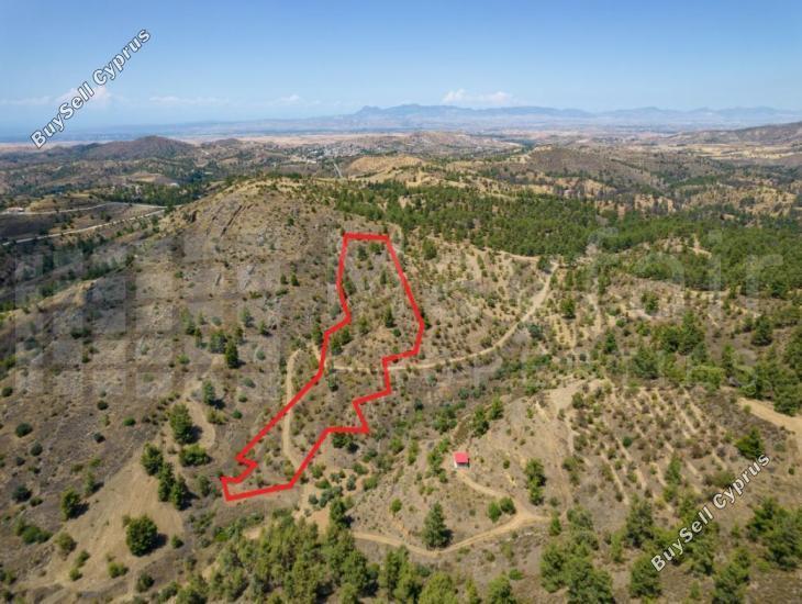 plot for sale xyliatos nicosia 7871364 image 15884489