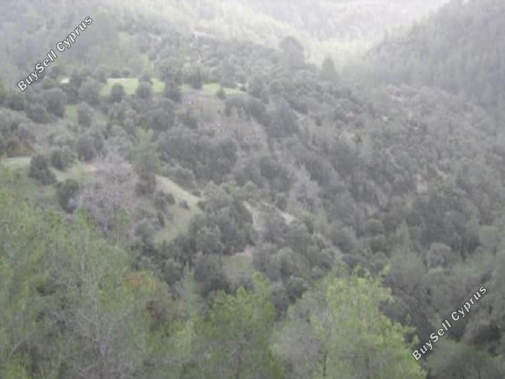 7693 SQM Land for sale in Amargeti, Paphos 15598610