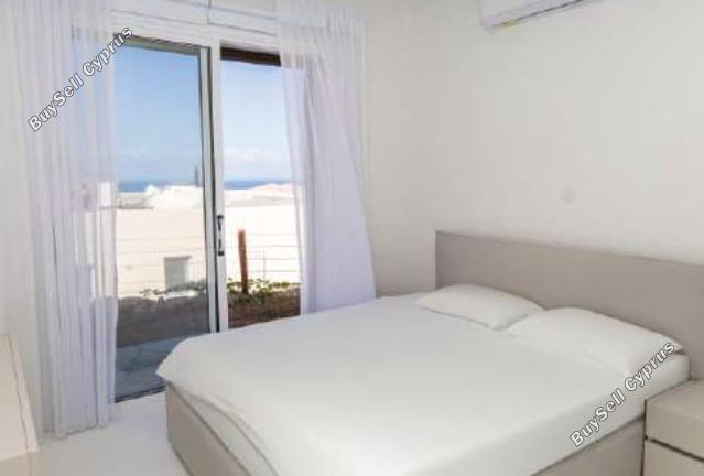 3 bedroom detached house for sale chlorakas paphos 7714464 image 10079965
