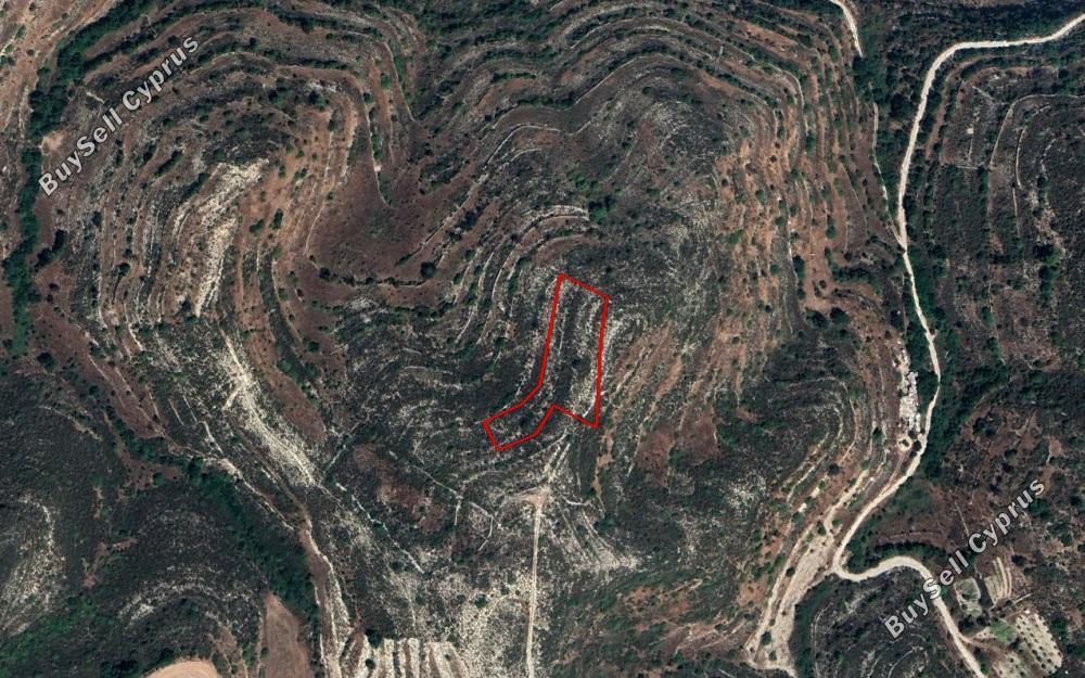land under offer agios ambrosios limassol 894464 image 16390351