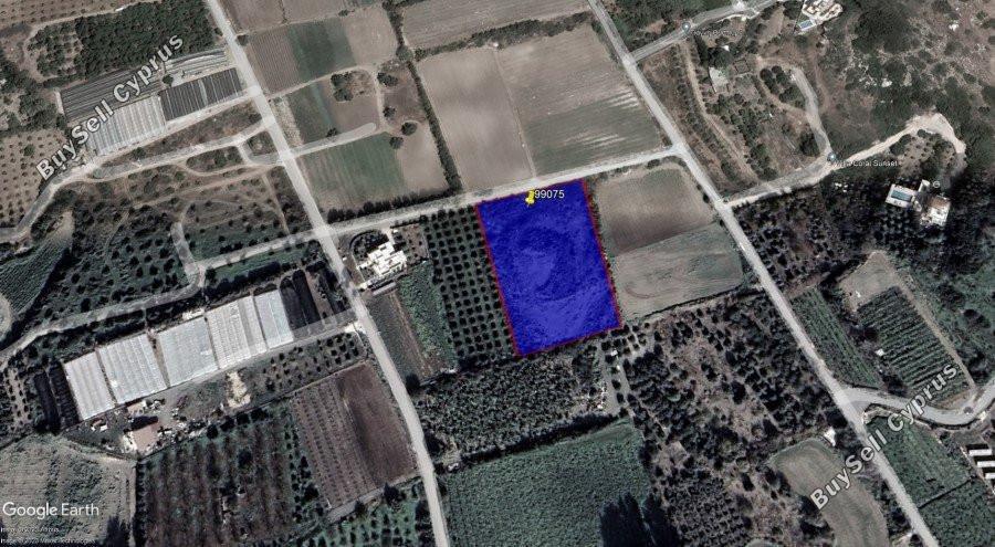 plot for sale kissonerga paphos 8237464 image 14229219