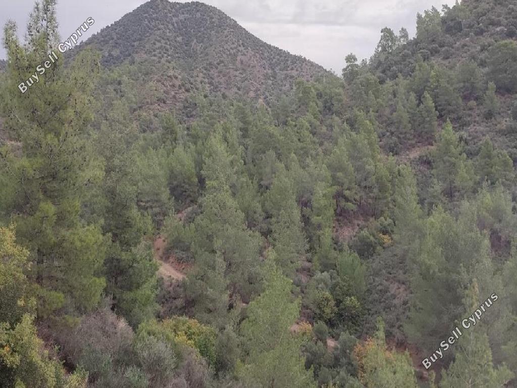 2342 SQM Land for sale in Pano Lefkara, Larnaca 15603313