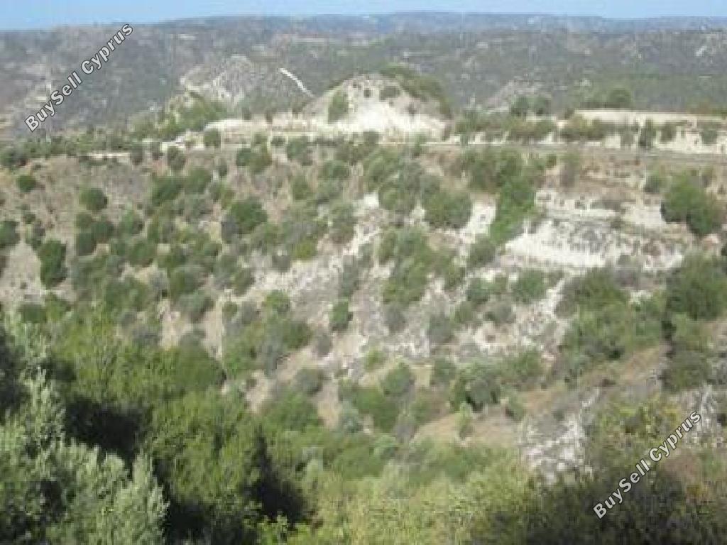 land for sale kelokedara paphos 7805564 image 15596415