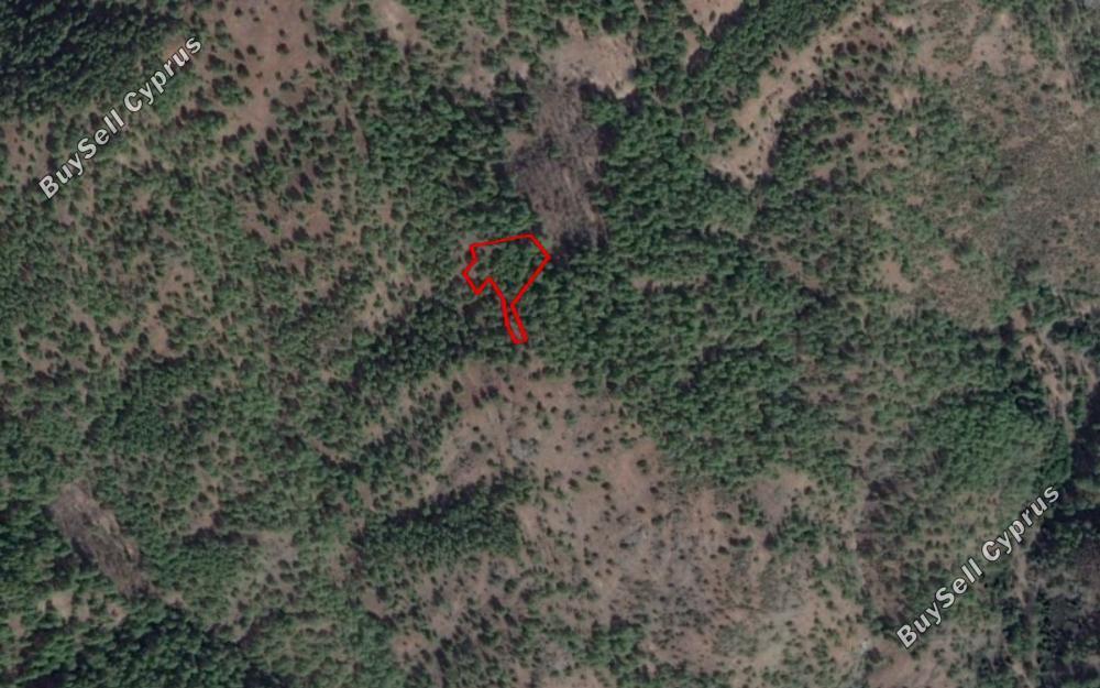 land for sale pigenia nicosia 829564 image 15664037