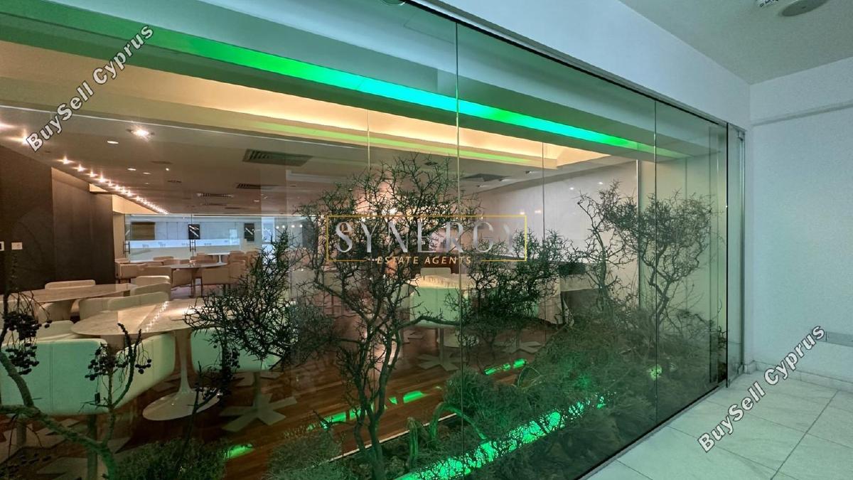 studio commercial building for rent strovolos nicosia 1106564 image 17438345