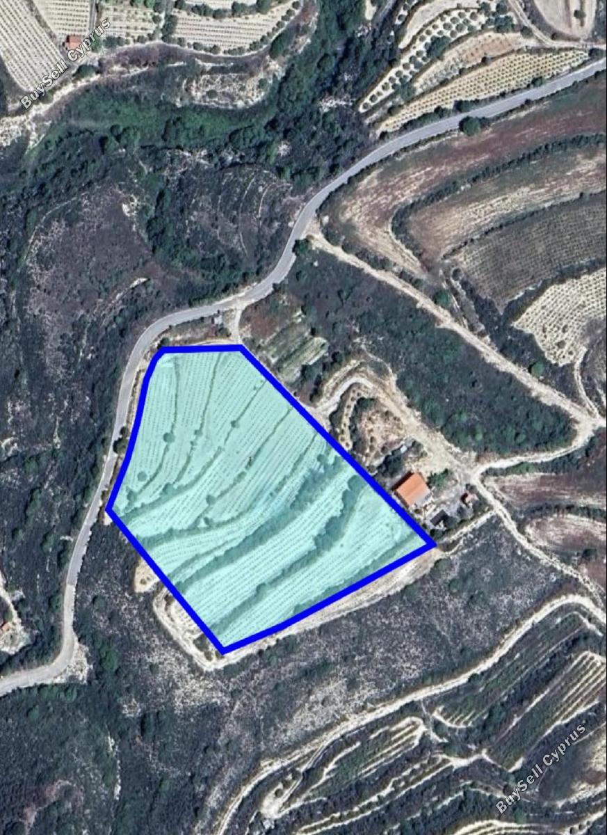 land for sale agios ambrosios limassol 1911664 image 7391868