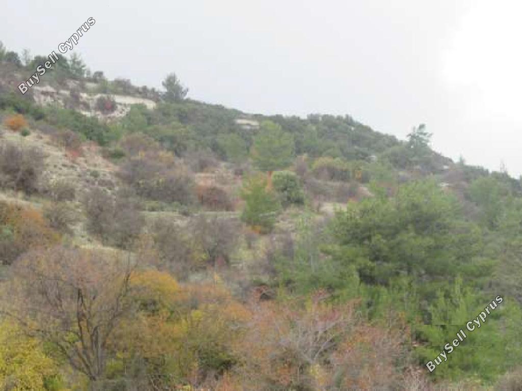 land for sale arminou paphos 945664 image 15600171