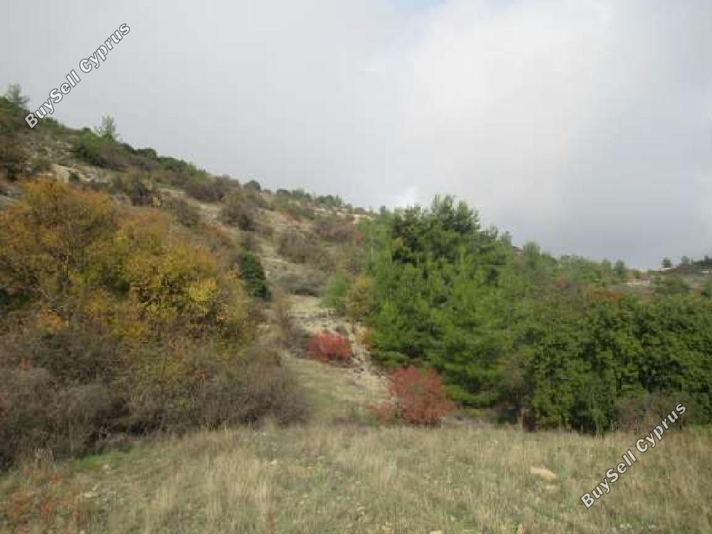 land for sale arminou paphos 945664 image 15600172