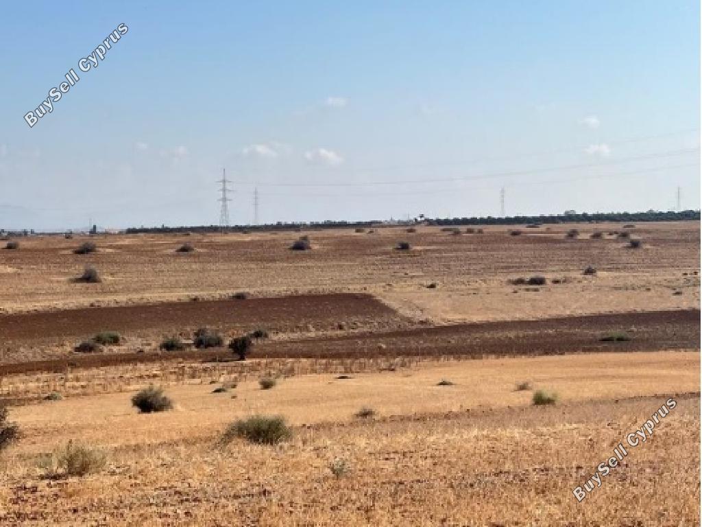 land for sale astromeritis nicosia 1877664 image 6982861