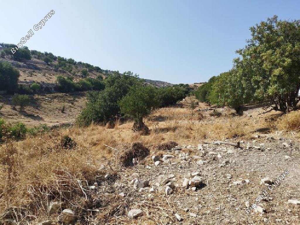 land for sale malia limassol 8785664 image 16656167