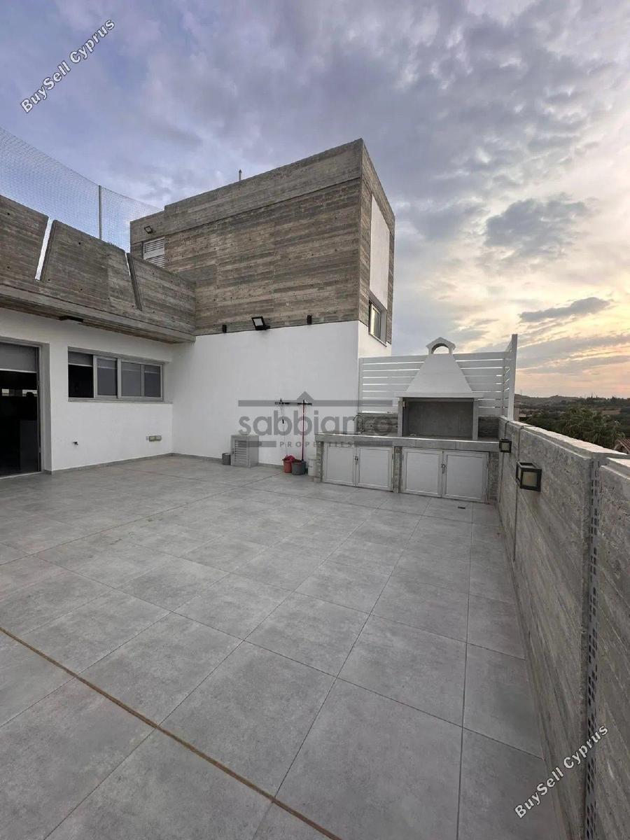 3 bedroom apartment for rent latsia nicosia 8741764 image 16396561