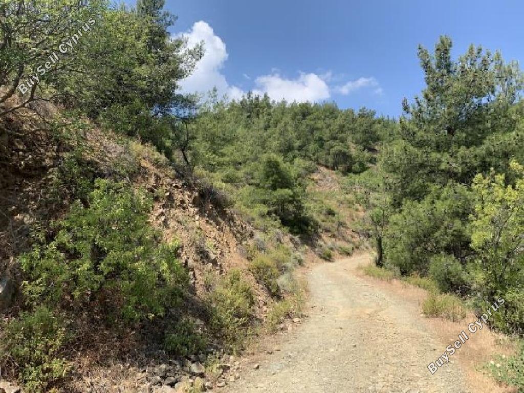3271 SQM Land for sale in Platanistasa, Nicosia 15596249