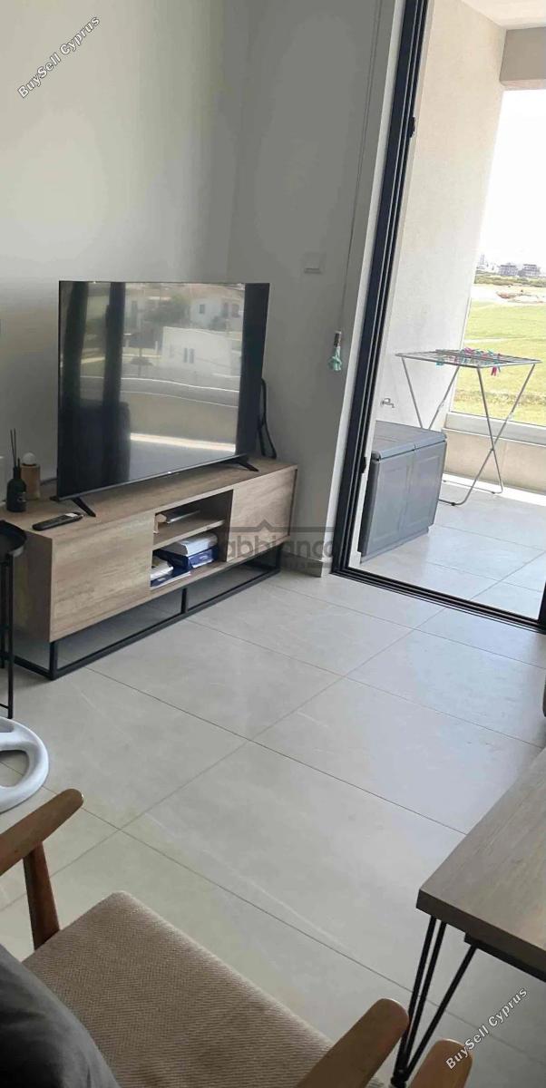 2 bedroom apartment for rent livadia larnacas larnaca 8739864 image 16375798