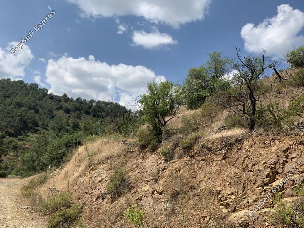 land for sale platanistasa nicosia 8003864 image 15596248