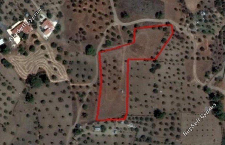 plot for sale kornos larnaca 1804864 image 9624155