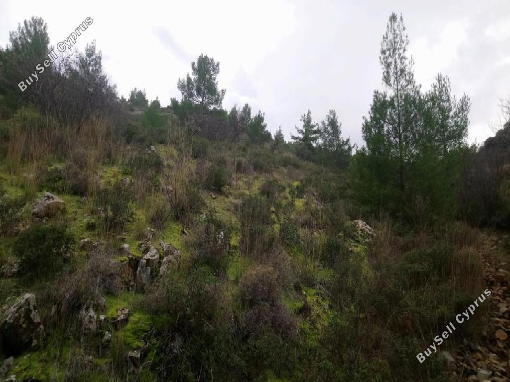 12041 SQM Land for sale in Fikardou, Nicosia 3344638