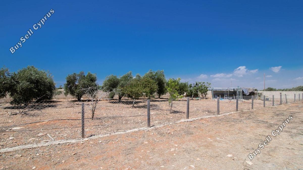 4 bedroom detached house for sale xylofagou larnaca 7649964 image 17234408