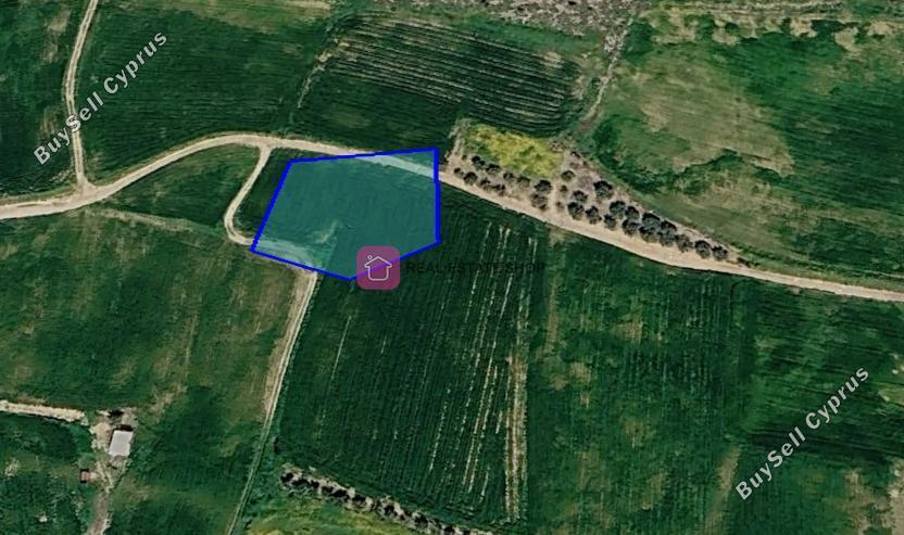 land for sale akaki nicosia 8758074 image 16514495
