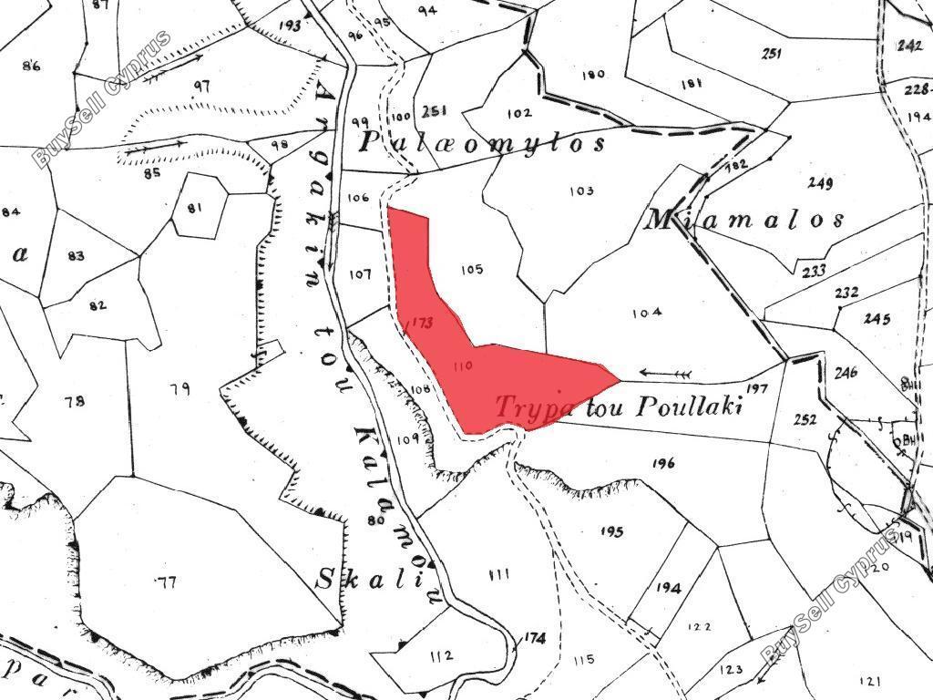 land for sale kallepeia paphos 8209074 image 15595823