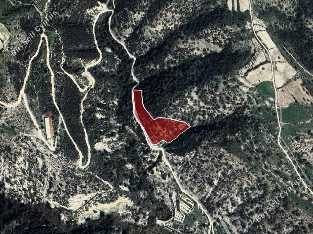 land for sale kallepeia paphos 8209074 image 15595826