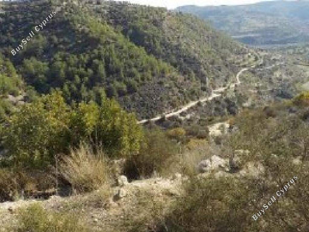 land for sale kallepeia paphos 8209074 image 15595827