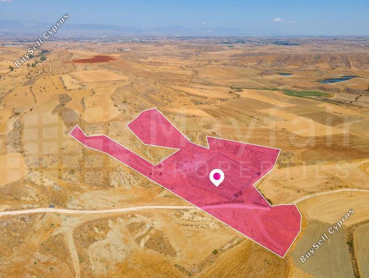 land for sale orounta nicosia 7872074 image 11384038