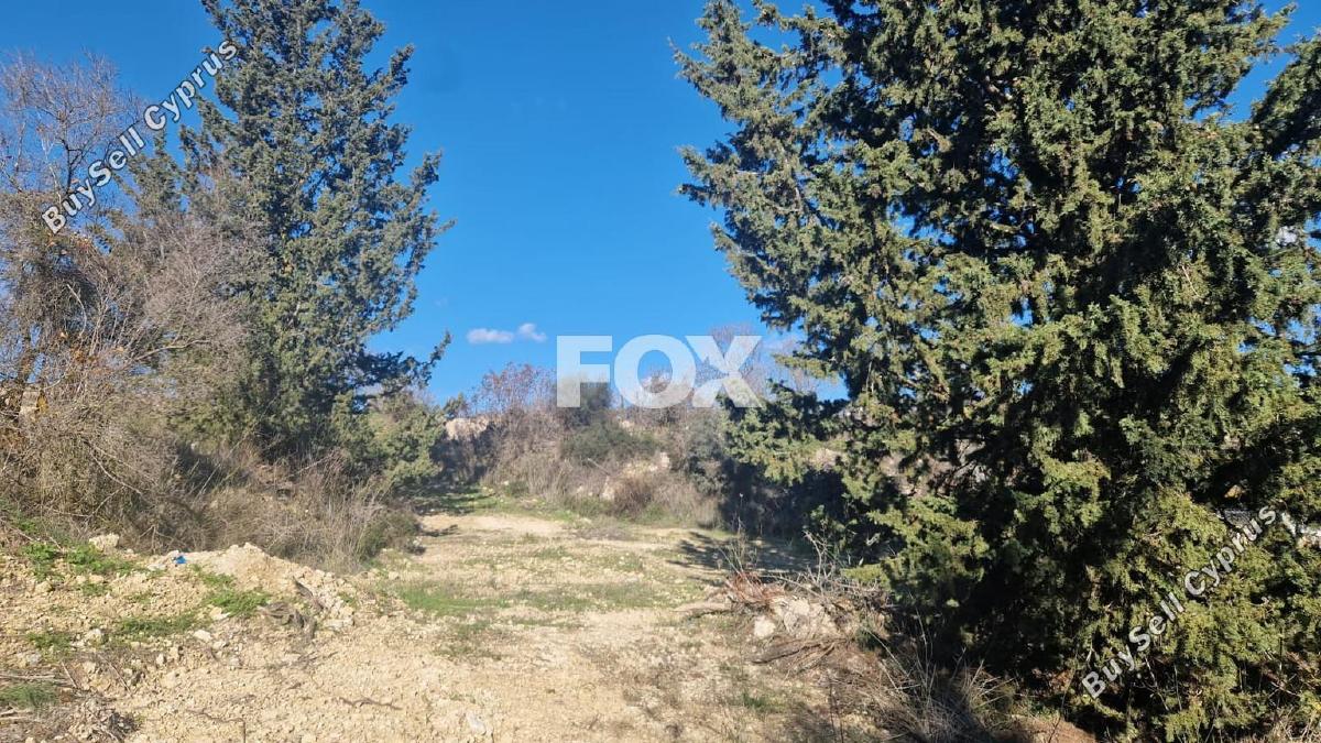 land for sale tsada paphos 8072074 image 16152203