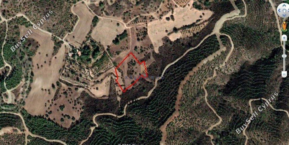 plot for sale kofinou larnaca 1195274 image 5576953