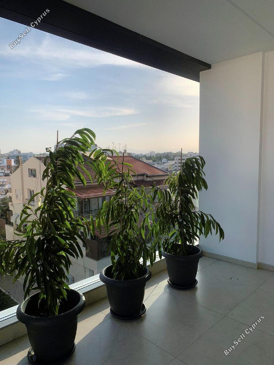 1 bedroom apartment for rent acropolis nicosia 1271374 image 5830415