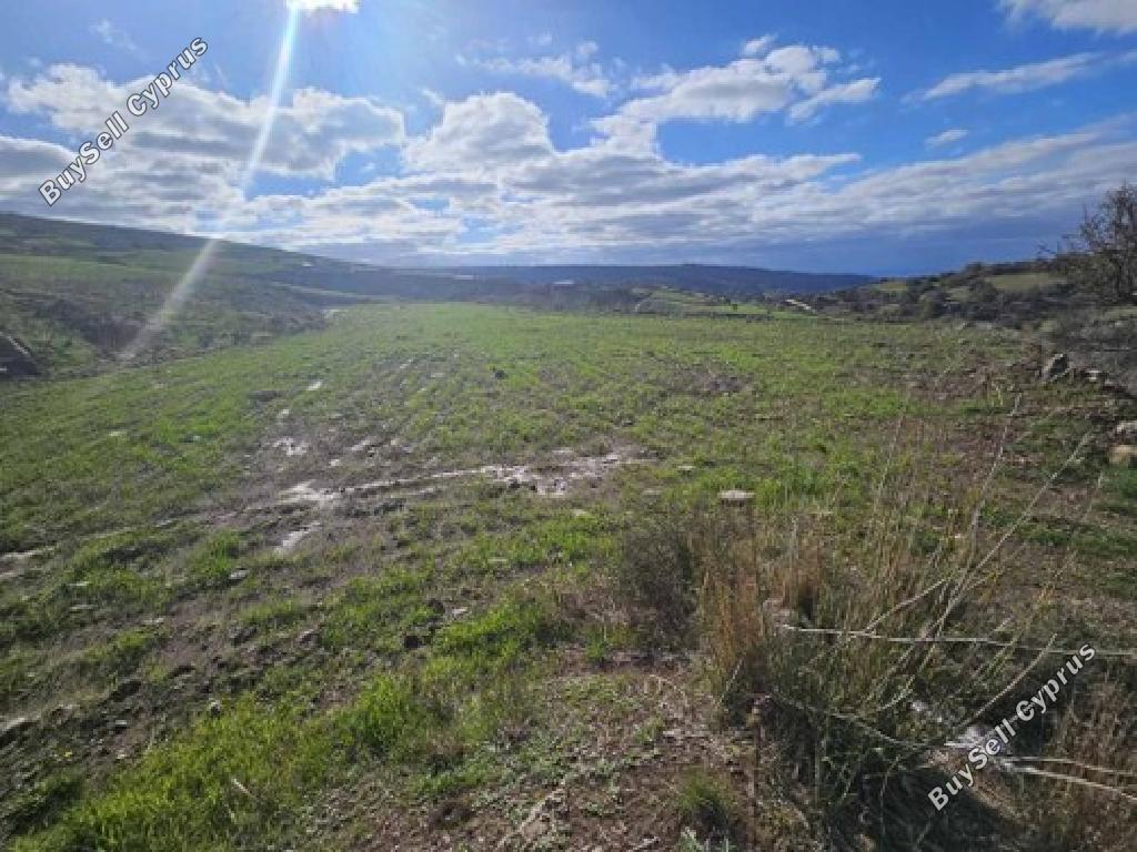 land for sale ineia paphos 8140374 image 17420159