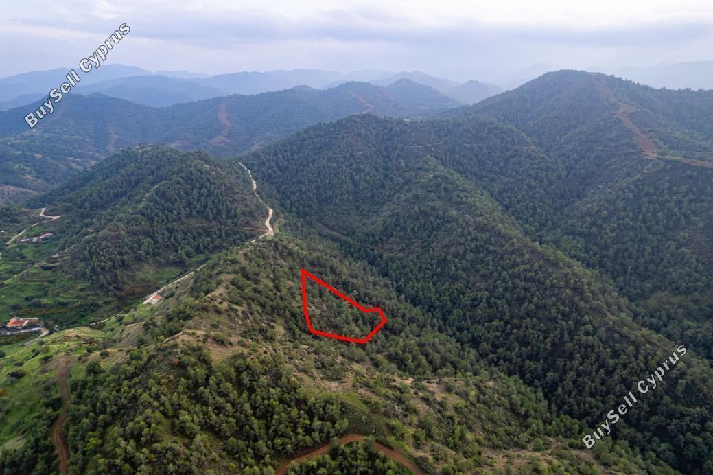 land for sale pano pyrgos nicosia 966374 image 5479433