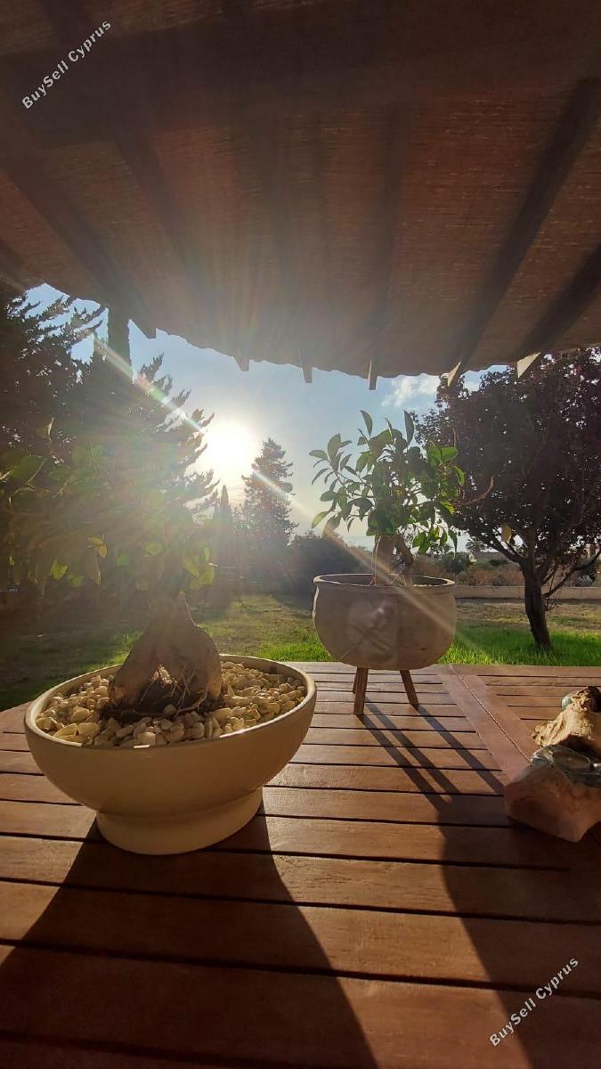 3 bedroom detached house for sale tala paphos 7931474 image 13489490