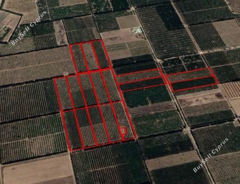 169227 SQM Land for sale in Akrotiri, Limassol 5892676