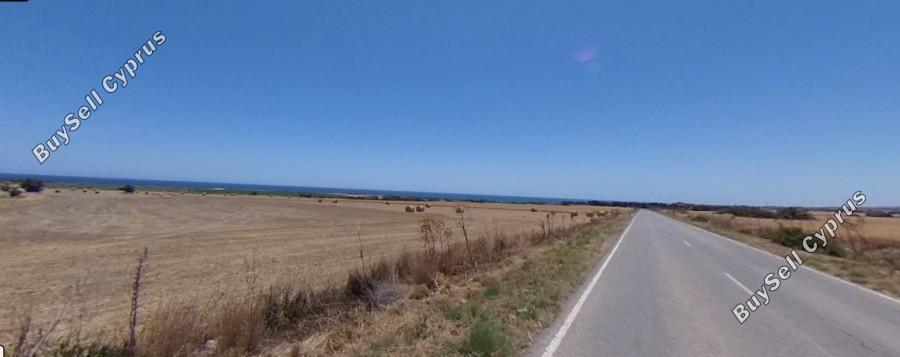 land for sale alaminos larnaca 7738474 image 16683000