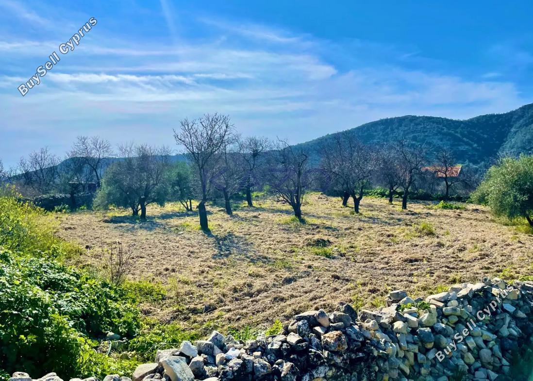 land for sale doros limassol 7729474 image 10127742