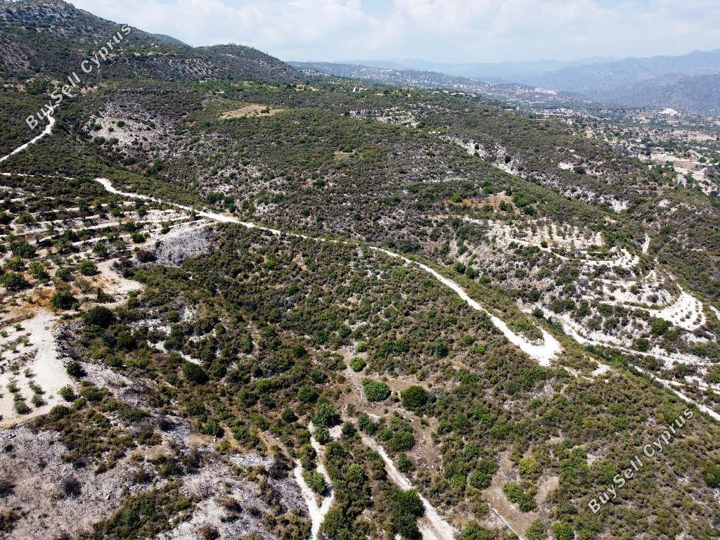 land for sale laneia limassol 1835474 image 15597736