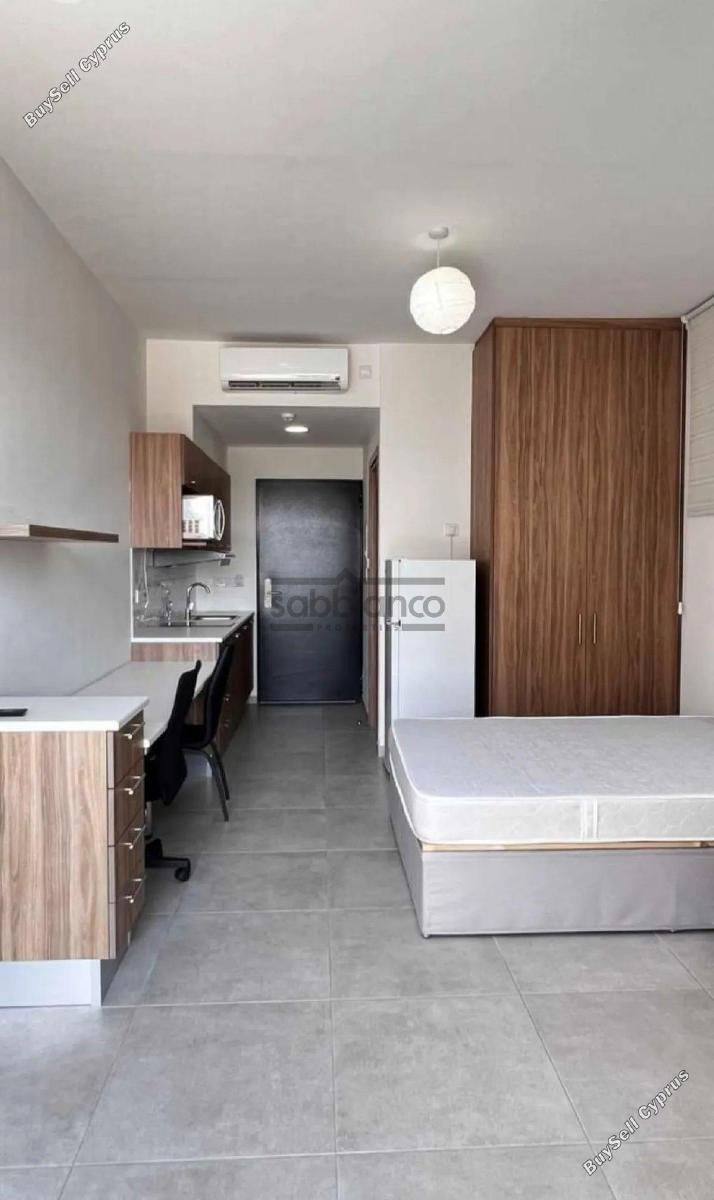 1 bedroom apartment for rent aglantzia nicosia 8748574 image 16466312