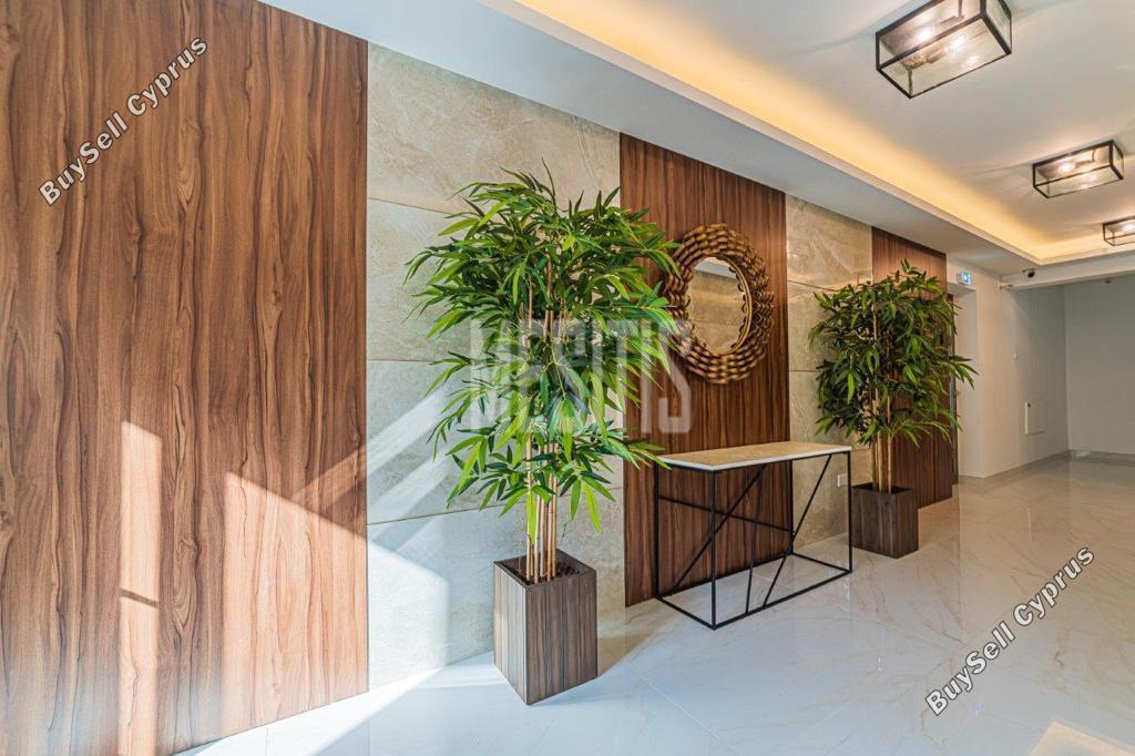 2 bedroom apartment for sale germasogeia limassol 8035574 image 12889674