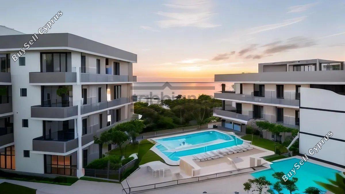 3 bedroom apartment for sale paphos municipality paphos 8752574 image 16504085
